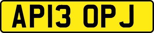 AP13OPJ