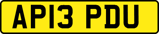 AP13PDU