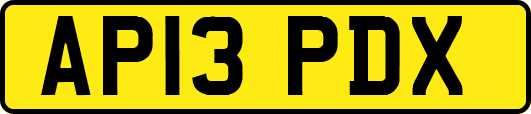 AP13PDX