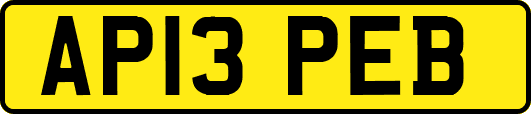 AP13PEB