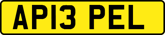 AP13PEL