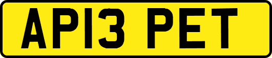 AP13PET