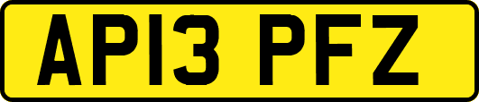 AP13PFZ