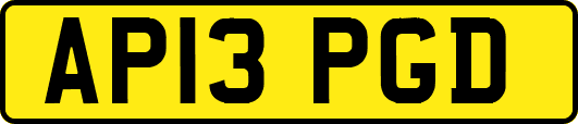 AP13PGD