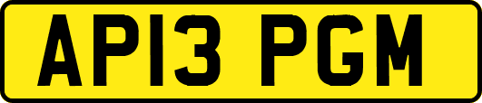AP13PGM
