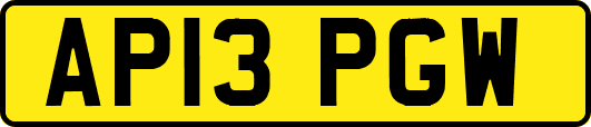 AP13PGW