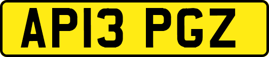 AP13PGZ