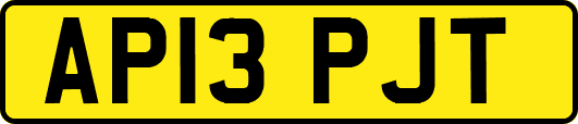 AP13PJT