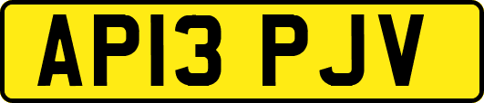 AP13PJV