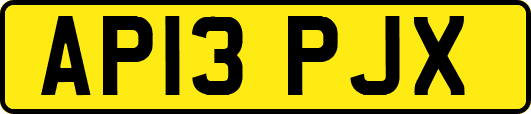 AP13PJX