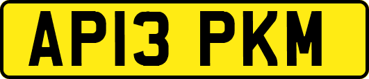 AP13PKM