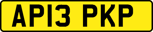 AP13PKP