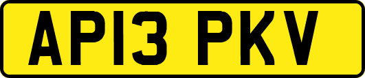AP13PKV
