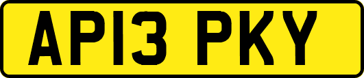 AP13PKY