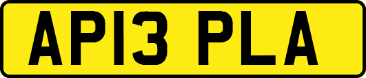 AP13PLA