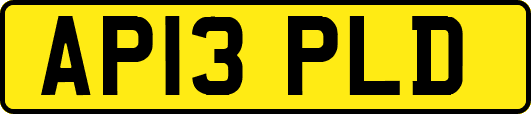 AP13PLD
