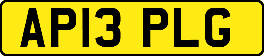 AP13PLG