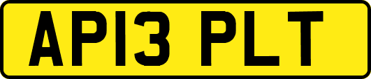 AP13PLT