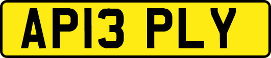 AP13PLY