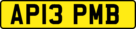 AP13PMB
