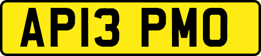 AP13PMO