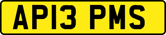 AP13PMS