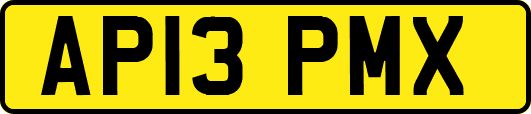 AP13PMX