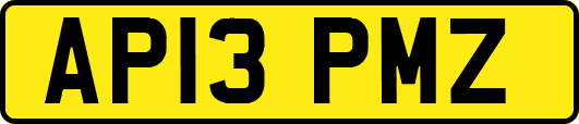AP13PMZ
