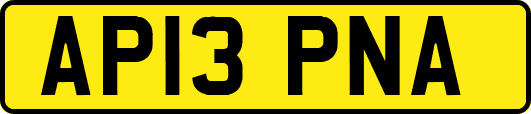 AP13PNA