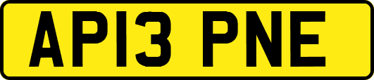 AP13PNE