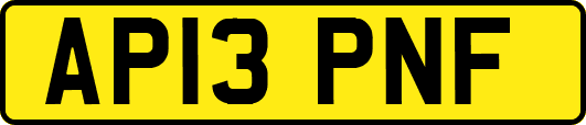 AP13PNF