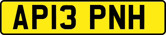 AP13PNH