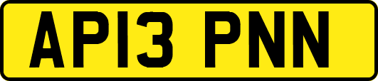 AP13PNN