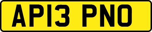AP13PNO
