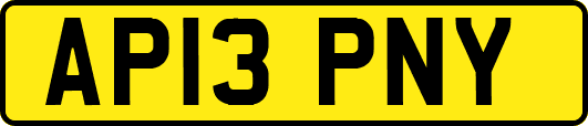 AP13PNY