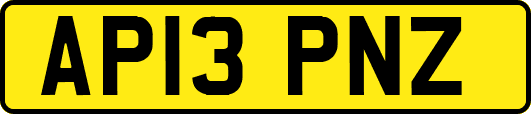 AP13PNZ
