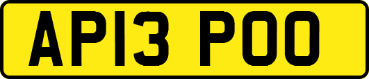 AP13POO