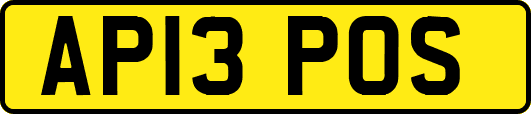 AP13POS