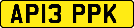 AP13PPK