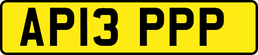 AP13PPP