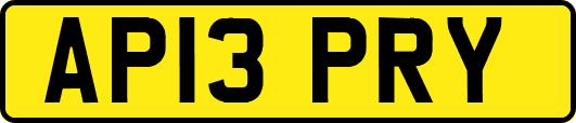 AP13PRY