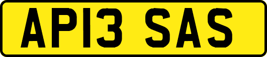 AP13SAS