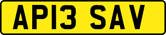 AP13SAV