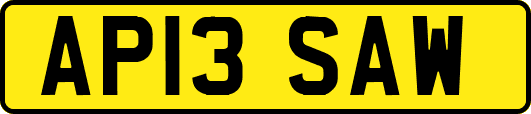 AP13SAW