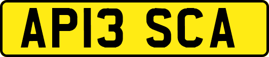 AP13SCA