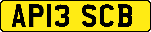 AP13SCB