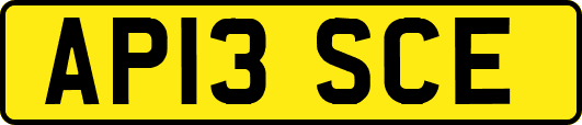AP13SCE