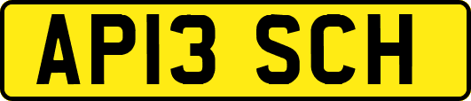 AP13SCH