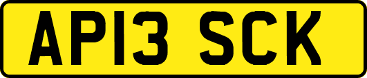 AP13SCK