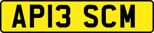 AP13SCM